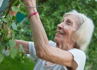 Organic Gardening